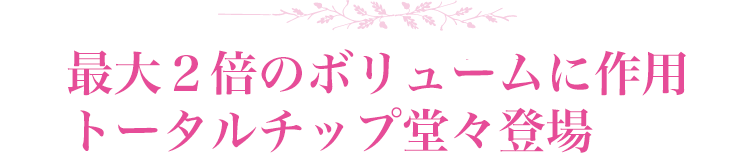 最大2倍のボリュームに作用 トータルチップ堂々登場